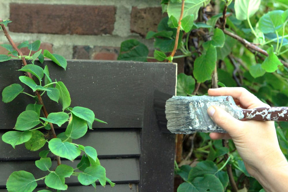 Maintain wooden shutters with paint touch-ups.