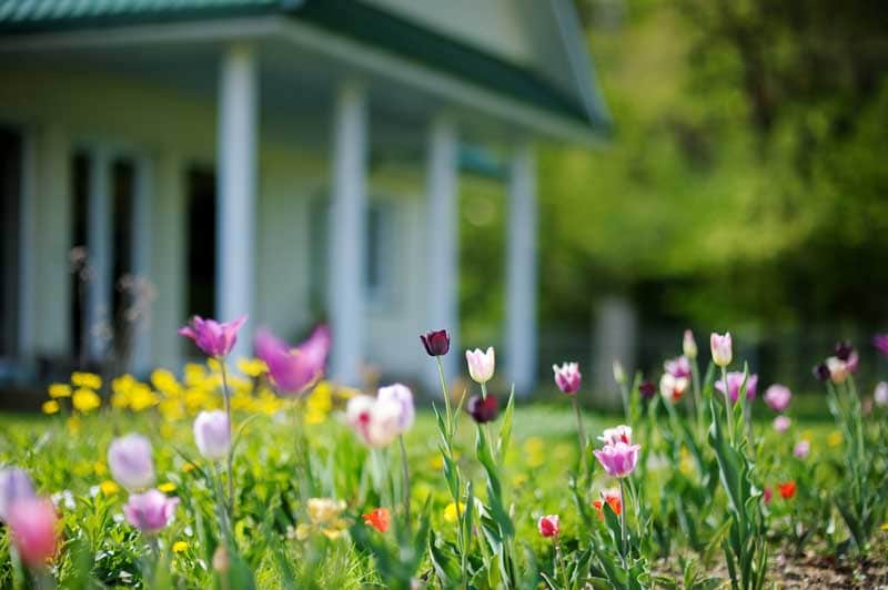 Add spring color outside with flowers and shutters.