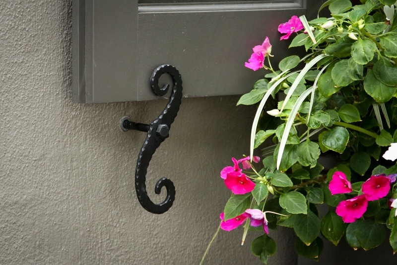 S-pattern shutter dog with lag mount next to flowers.