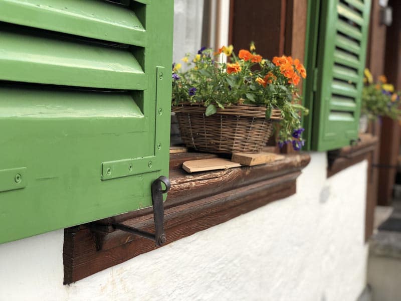 Metal exterior shutter ties with flowers in the window.